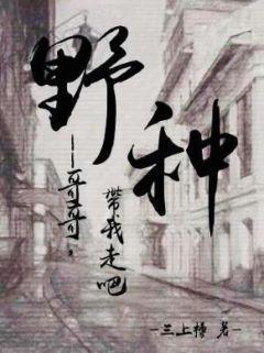 野种封面