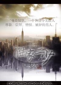 陆家二少（重生）封面
