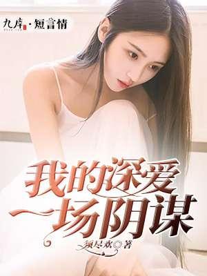 一场深爱，我的阴谋封面