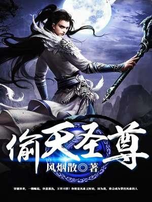 偷天圣尊封面