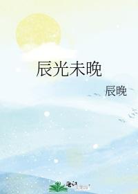 辰光未晚封面