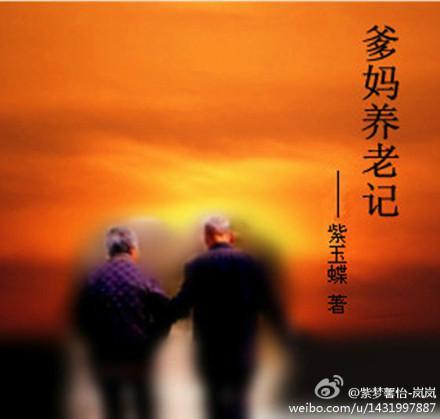 爹妈养老记封面