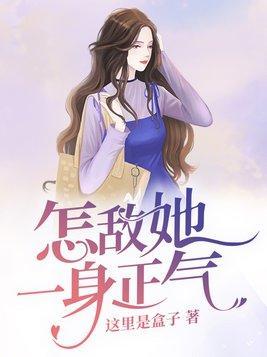 怎敌她一身正气封面