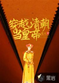 穿越清朝当皇帝封面