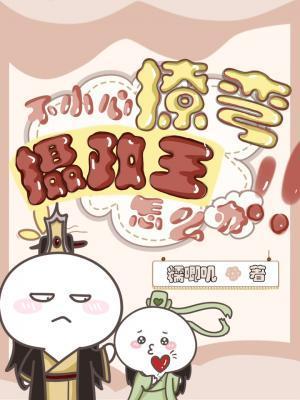 不小心撩弯了摄政王怎么办封面