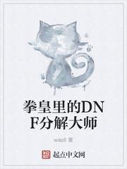 拳皇里的DNF分解大师封面