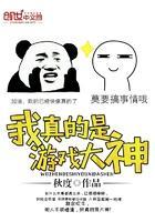 我真的是游戏大神封面