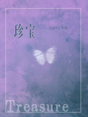 珍宝封面