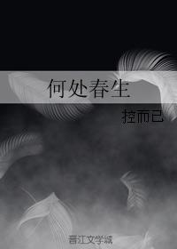 何处春生封面