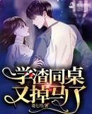 我叫白小飞封面