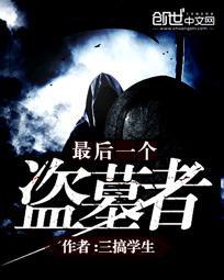 最后一个盗墓者封面