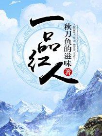 一品红人封面