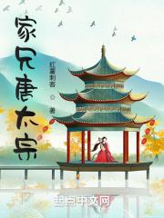 家兄唐太宗封面
