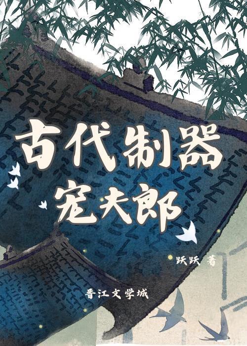 古代制器宠夫郎封面