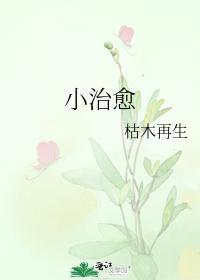 小治愈封面