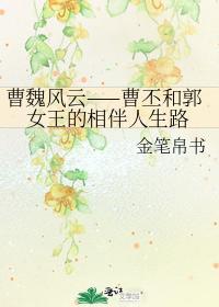 曹魏风云——曹丕和郭女王的相伴人生路封面