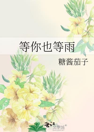 等你也等雨封面