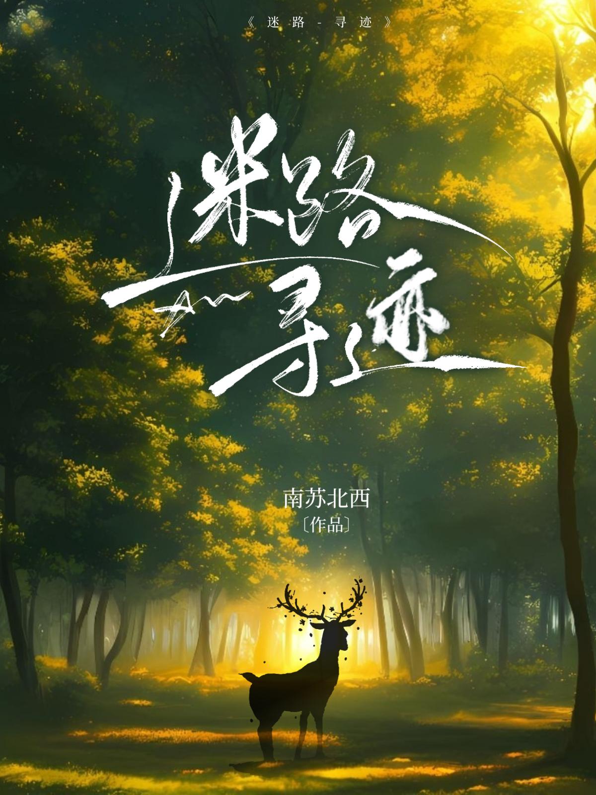 迷路-寻迹封面