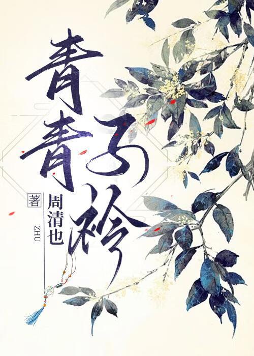 青青子衿封面