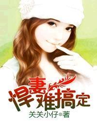 悍妻难搞定封面