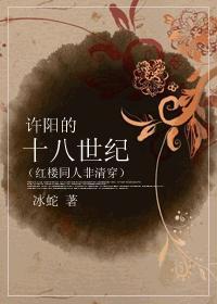 红楼之许阳的十八世纪封面