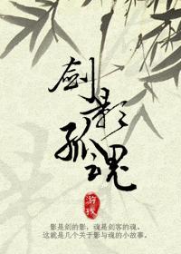 剑影孤魂封面