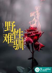 野性难驯封面