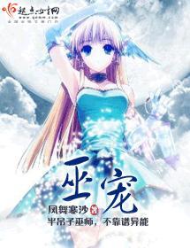 巫宠封面