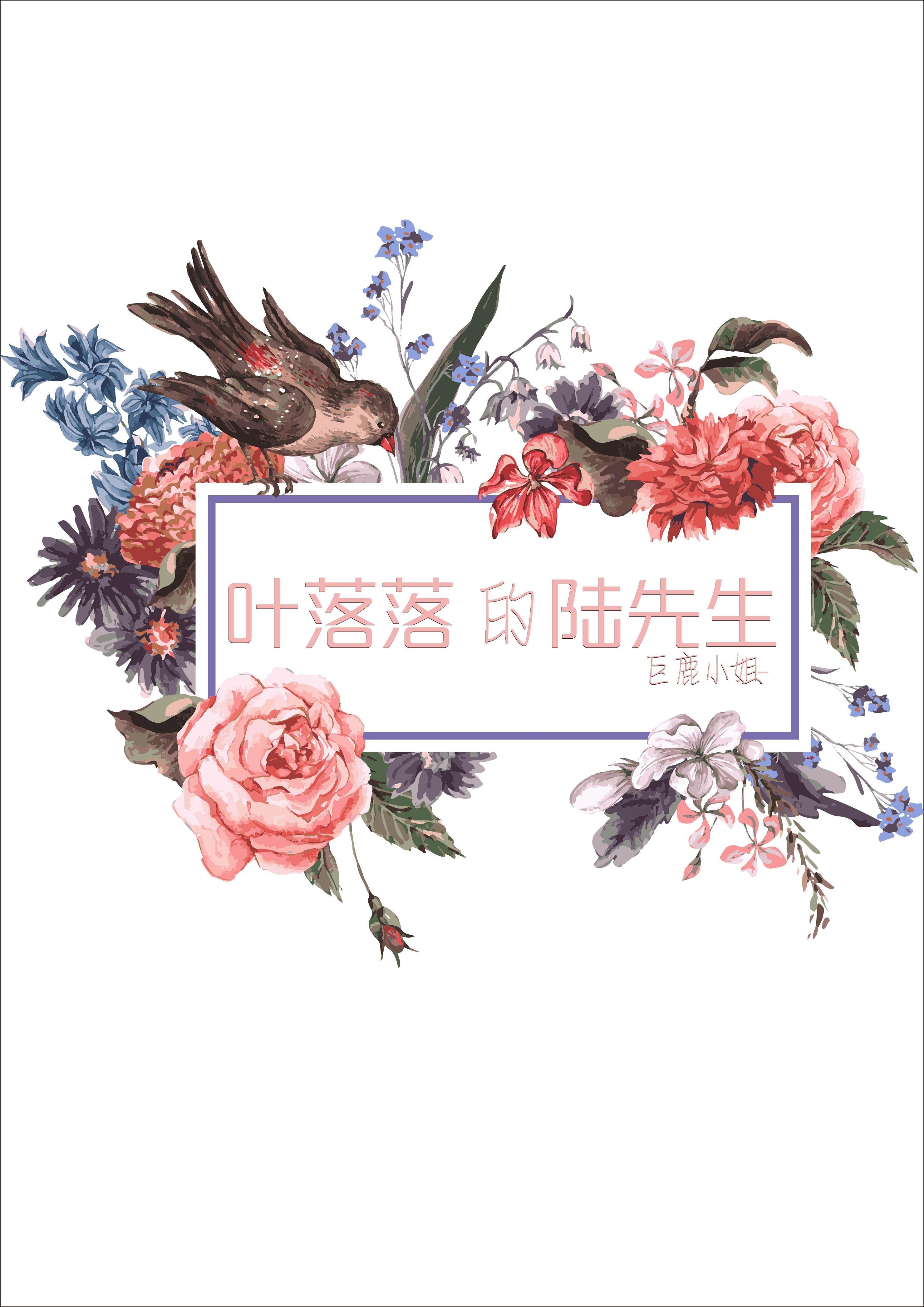 叶落落的陆先生封面