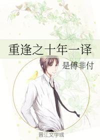 重逢之十年一译封面