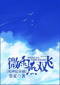微雨燕双飞封面