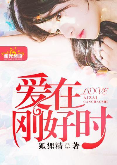 爱在刚好时封面