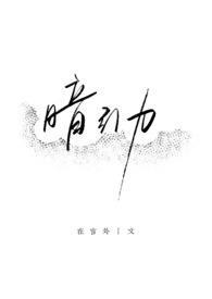 暗引力封面