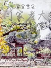 四合院之闫家老大封面