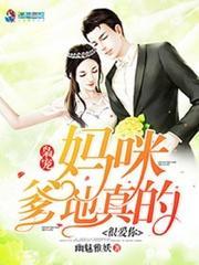 爹地狠爱妈咪封面