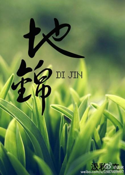 地锦瓶邪封面