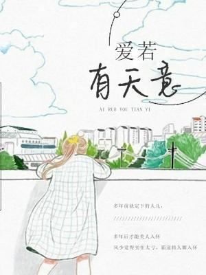 爱若有天意封面