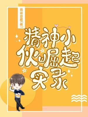 精神小伙崛起实录封面