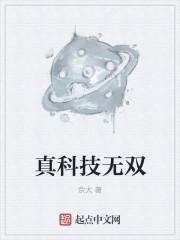 真科技无双封面