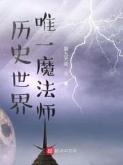 历史世界唯一魔法师封面