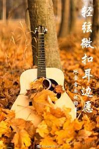 轻弦微扣耳边愿封面