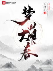 梦回大唐大明春封面