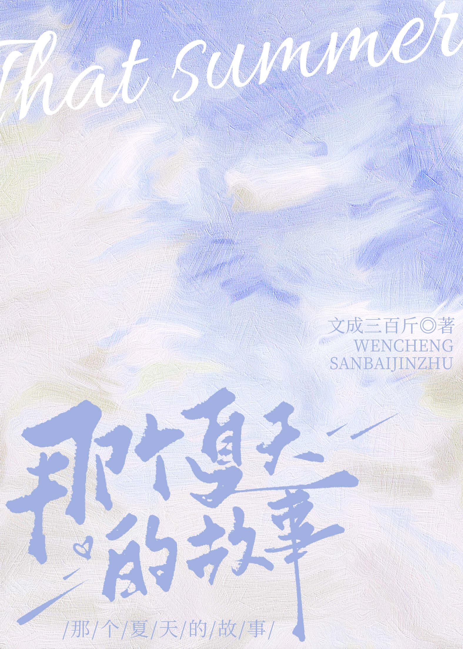 那个夏天的故事封面