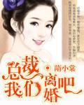 总裁，我们离婚吧封面