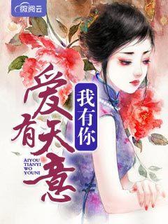 爱有天意我有你安研程以默封面