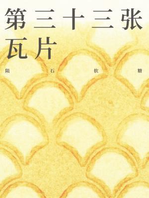 第三十三张瓦片封面