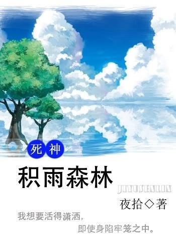 积雨森林封面