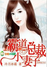 霸道总裁的小妻子封面