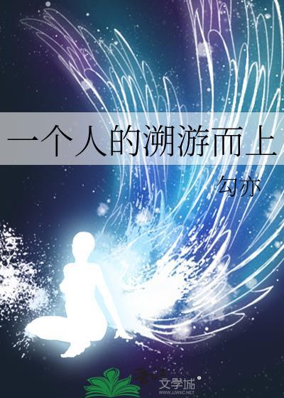 一个人的溯游而上封面