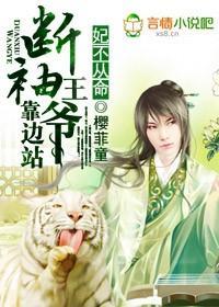 妃不从命，断袖王爷靠边站封面